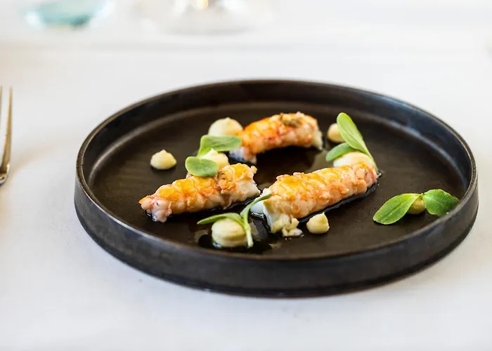 Stella Maris מלון