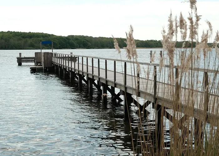 Stella Maris